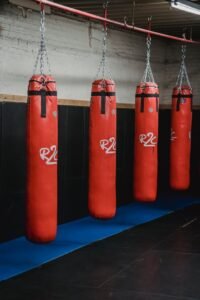 Boxing Bag