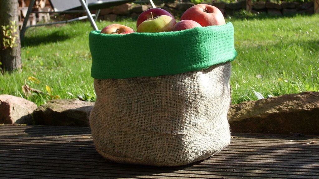 apple bag, apples, fall-181985.jpg
